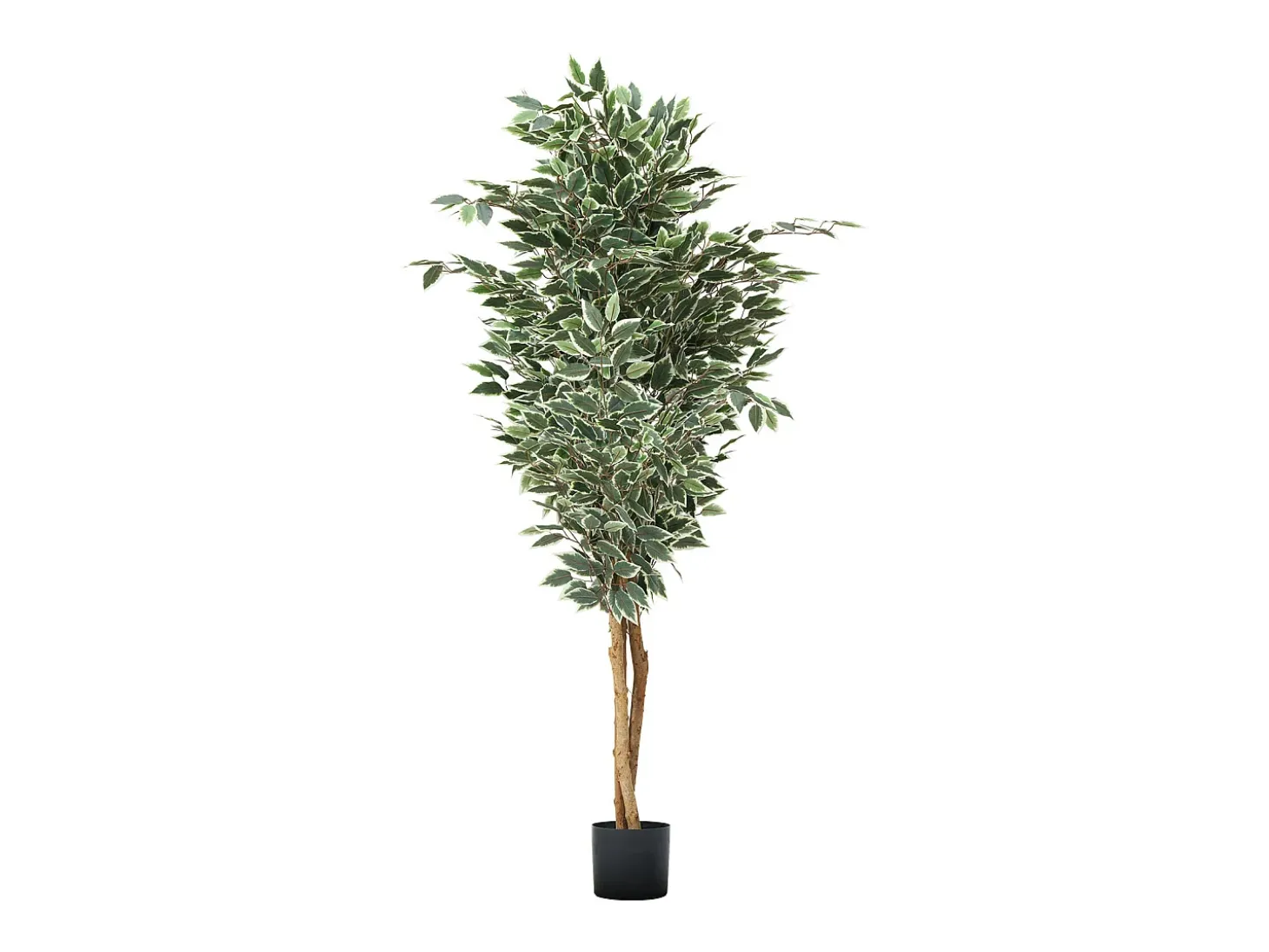 Árboles Artificiales SucceBuy Ficus Artificial de 180 cm con Maceta Negra, Planta Artificial Grande con Tronco de Madera Natural y Follaje Verde Realista