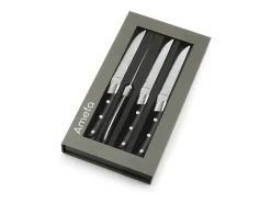 Set de 4 cuchillos de carne Achille Noir Amefa 11cm - Colección Auténtica y Resistente