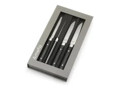 Best Amefa Set de 4 cuchillos para carne Fusion Noir - Hoja lisa y mango de ABS - 22 cm Negro