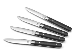 Best Amefa Set de 4 cuchillos para carne Fusion Noir - Hoja lisa y mango de ABS - 22 cm Negro