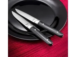Best Amefa Set de 4 cuchillos para carne Fusion Noir - Hoja lisa y mango de ABS - 22 cm Negro