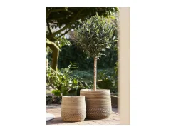 Sale Les Tendances Set van 2 MORO plantenbakken – Natuurlijk kubu rotan Beige