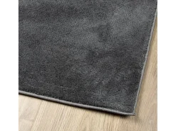 Garden Furniture Alfombra De Salón^Sinto Alfombra de pelo corto OVIEDO 80x250 cm Gris antracita