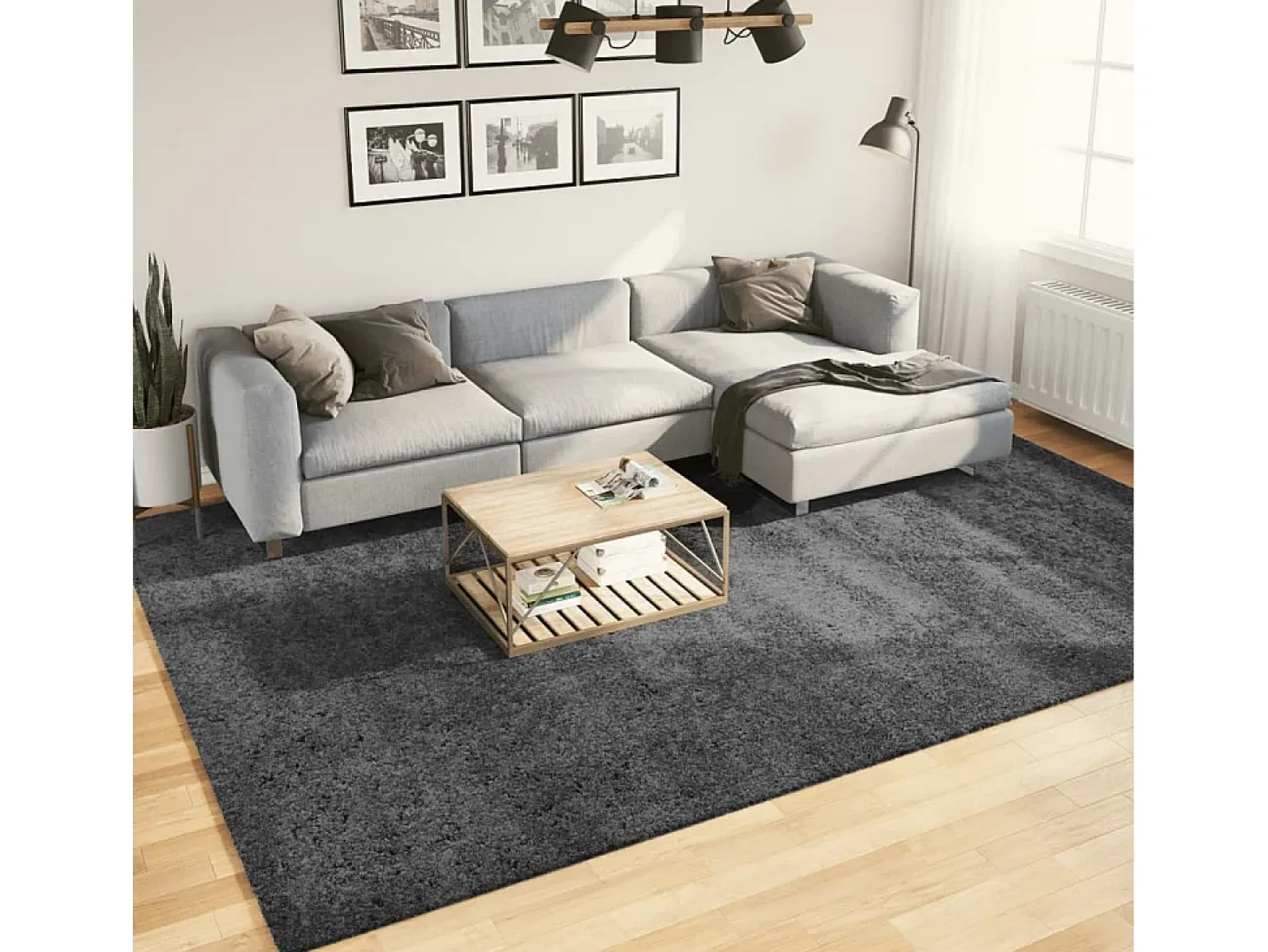 Sinto Alfombra de pelo corto OVIEDO gris antracita 240x340 cm