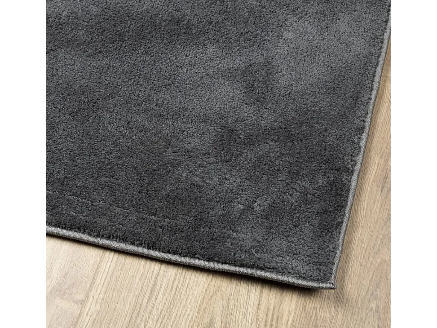 Sinto Alfombra de pelo corto OVIEDO gris antracita 200x280 cm