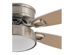 Ventilador Dc Braw Niquel Led 5 Aspas Y Control Remoto