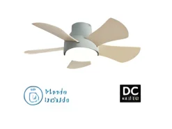 Ventilador Dc Gregario Verde Led 25w Cct Y Control Remoto